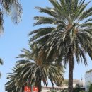 그로브1민박 이미지