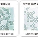 항산화도반욕 이미지