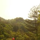 전나무목장 이미지