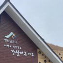 1159 | 울산 영남알프스 간월재 등산하고 싶었으나 신불산(해발1159m)으로 길 잘못든 등산 후기(+뚜벅이, 택시)