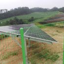 일진태양광발전소 이미지