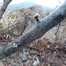 호랭이농장 이미지