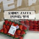 신선마트 | 신선지능 롯데마트 딸기 무름없는 상태 솔직후기