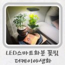 더케이야생화 이미지