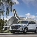 시장건재 이미지