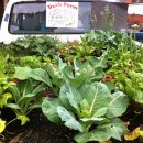 일건농장 이미지