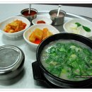 돈수백 이미지