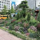 LG 앞 교통섬 이미지