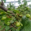 승연농장 이미지