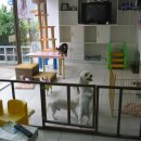 허동물병원 이미지