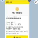 보글스마켓 이미지