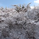 다운목장 이미지