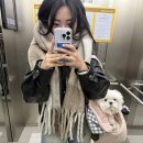 [망원동 나들이] 토마토코엔 올웨이즈 어거스트 하루필름 버터베이거리