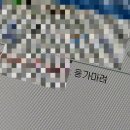 솔아농장 | 길다면 길고 짧다면 짧은 2월 그달의 일상