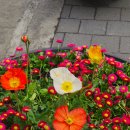 상경 카 서비스 | [일상]4월 기록(1)_4학년도 아직 놀고 싶어요