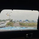 사천세계문화콘텐츠 상설공연장 | 경남 사천 가볼만한 곳 무지개빛 해안도로 반려견과 함께하는 여행길