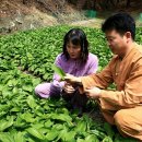 박성현농장 이미지