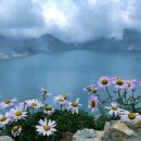 하늘땅바람 이미지