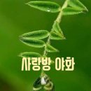 수다방 - 경주시 서면 | 수다방