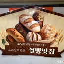 시루케이크 티스토리