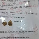 책벌레숲독서논술학원둔촌점