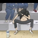 세움 이미지
