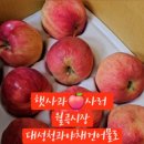 장수청과 이미지