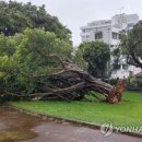 태풍 '카눈' 일본 규슈 접근…최대 400㎜ 폭우 예상 이미지