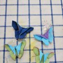 5조 🦋 나비 코사지 만들기 이미지
