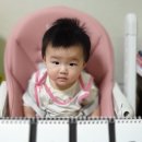 댕이맘마 이미지