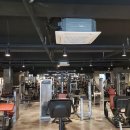 머슬피플 피트니스 이미지