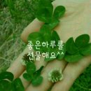 오늘도 봄 이미지