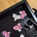 금곡대로 285번길 | 부산 화명동 커플마사지 추천 헬로바디풋 실내데이트 발마사지 전신관리 후기