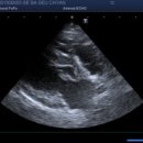 굿파파 24시 반려동물건강검진센터 | [강아지 심장병 B2] 15살 노령견 심장병 2년 관리 후기