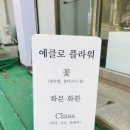 에클로플라워