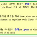 그레이스(GRACE) 이미지