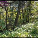 포항시남구62 이미지