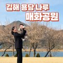 당나루 | 부산양산매화 김해용당나루매화공원