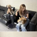 정연 스타뉴스