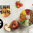 플라잉펫 이미지