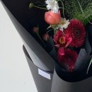 블랑1556