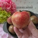 만물상회 | 젤리하트자두 내돈내산 솔직 후기