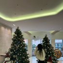 제주 서귀포 위치 좋은 숙소 부영 호텔 앤 리조트 트윈룸 내돈내산 후기