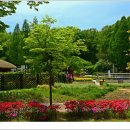 부천자연생태공원 이미지