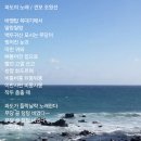 파도노래