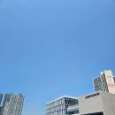 한마제3체육관 | 제3영등포체육관 자유수영 시범운영 후기! (7월 정식 개장)