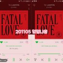 멍멍냐옹 이미지