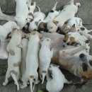 마곡하나공인중개사사무소 이미지