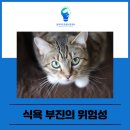 아이동물병원 이미지