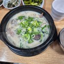 도봉-도봉-서울도봉-2490 | 첫 유기동물 봉사이자 다솜 보호소 후기 (+너에개로)